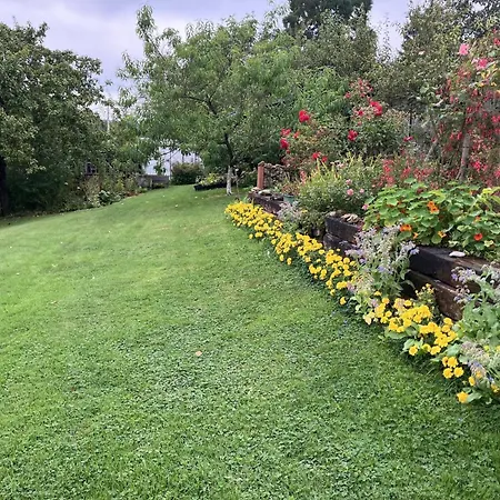 Holiday home Alegria Trois-Ponts