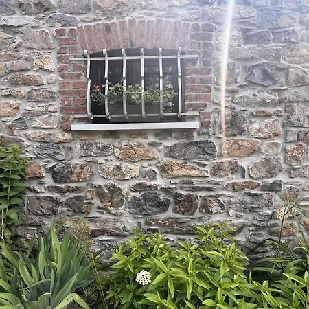 Holiday home Alegria Trois-Ponts