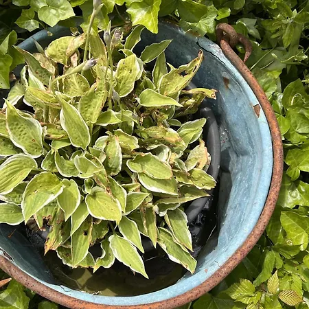 Holiday home Alegria Trois-Ponts