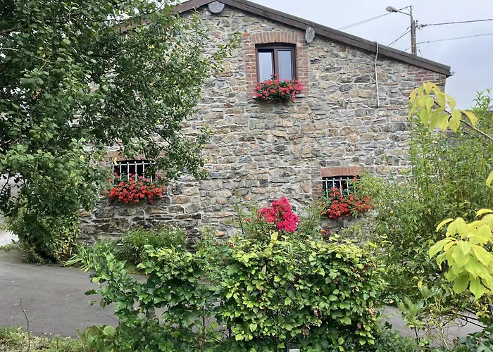 Alegria Casa vacanze *