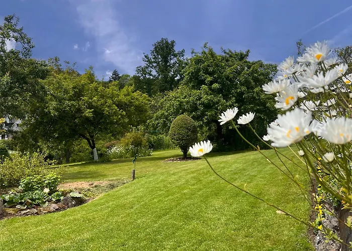 Alegria Casa vacanze Trois-Ponts