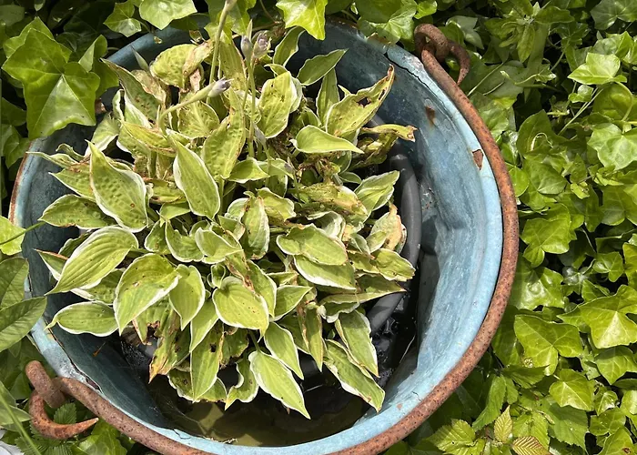 Casa vacanze Alegria Trois-Ponts