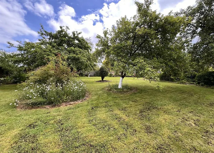 Alegria Casa vacanze *